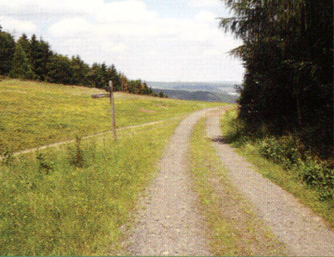 Praxisbesonderheiten